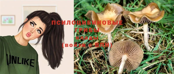 PSILOCYBIN Аркадак